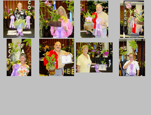 2010 Fall Orchid Fair Winners