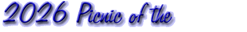 2010 Picnic of the 